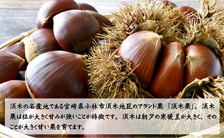 栗 【先行予約】「須木栗」2Lサイズ 2kg程度（生栗 マロン ブランド栗 果物 フルーツ 秋 旬）