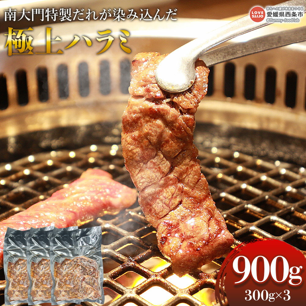 【ふるさと納税】＜南大門特製だれが染み込んだ極上ハラミ 300g×3パック＞※翌月末迄に順次出荷します。 お肉 牛肉 味付け 食品 焼肉 焼き肉 バーベキュー BBQ 焼くだけ 簡単 お手軽 簡単調理 便利 小分け 有限会社ALWAYS・SMILE 愛媛県 西条市【冷凍】