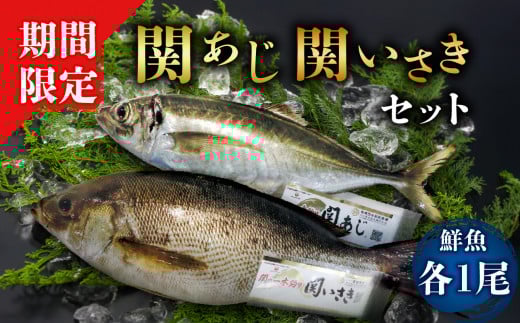 関あじ・関いさき（鮮魚）セット（各1尾） 関あじ 関いさき 鯵 イサキ 魚 鮮魚 ブランド魚 期間限定 佐賀関 セット 食品 塩焼き 刺身 姿焼き おかず E04022