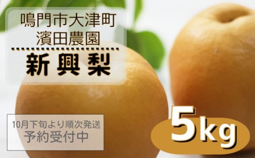 【予約受付中】濱田農園 新興梨 約5kg 【数量限定】【10月下旬より順次発送】 フルーツ 果物 梨 ナシ 完熟梨 季節の梨 旬の梨 秋の梨 鳴門の梨 完熟果物 季節の果物 旬の果物 秋の果物 鳴門の果物 完熟フルーツ 季節のフルーツ 旬のフルーツ 秋のフルーツ 鳴門のフルーツ 濱田農園の果物 濱田農園のフルーツ
