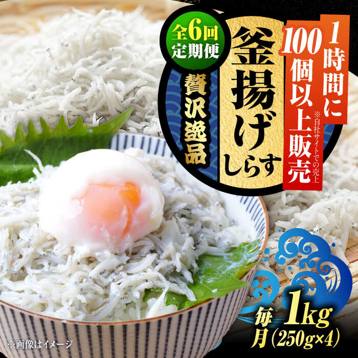 【ふるさと納税】【全6回定期便】鮮度抜群＆水分率80％!ふわふわ釜揚げしらす 1kg 冷凍 シラス 鮮魚 ギフト 海鮮丼 広島県 江田島/三島水産株式会社[XCN009]