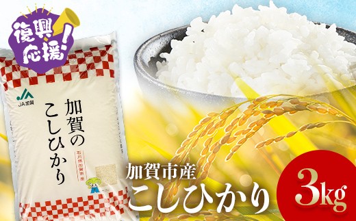 【順次発送】令和7年産 こしひかり 3.0kg(1.5kg×2袋) 生活応援米 精米 銘柄米 お米 米 ギフト 贈り物 グルメ 食品 復興応援米 F6P-3219