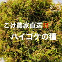 【ふるさと納税】123-7 こけ 専門農家直送!! ハイゴケ 種5L / 管理方法の説明書付き 植物 苔 ゴケ インテリア 静岡県 苔g(こけじぃ)