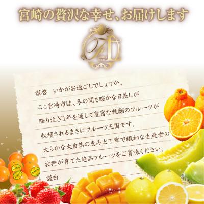 ふるさと納税 宮崎市 【発送月固定定期便】旬の贅沢くだもの定期便(宮崎市)全6回 |  | 01