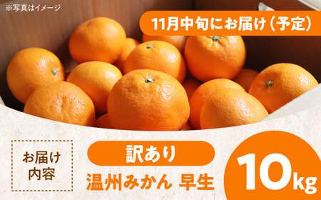 【全2回定期便】【11月中旬と12月中の2回発送】【ちょっと訳あり】温州みかん 10kg 2回 定期便 愛媛県大洲市/有限会社カーム/カームシトラス[AGBW008]みかんミカン愛媛みかんみかんミカン