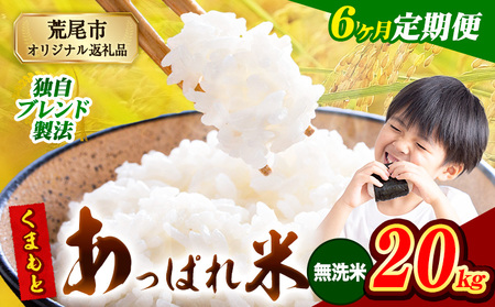 【6ヶ月定期便】 熊本県産 くまもとあっぱれ米 20kg  熊本県産 ふるさと納税 無洗米 精米 米 こめ ふるさとのうぜい コメ お米 おこめ《お申し込み月の翌月から出荷開始》