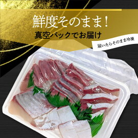 高級大和ブリのお造り8人前 N072-YA981