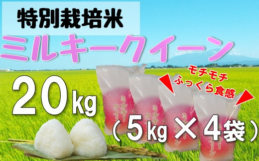 
                  米蔵いいの特別栽培米ミルキークイーン20kg（5kg×4袋）
                