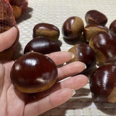 ふるさと納税 かすみがうら市 【2026年10月発送開始】産地直送!久保田果樹園の生栗2Lサイズ約3kg |  | 01