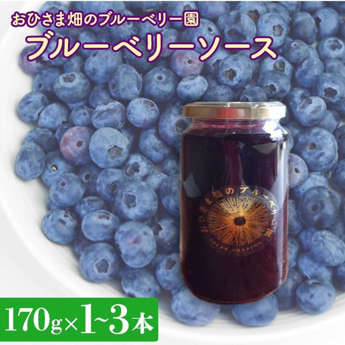 
                  【おひさま畑のブルーベリー園】ブルーベリーソース（170g）1～3本 ブルーベリー
                