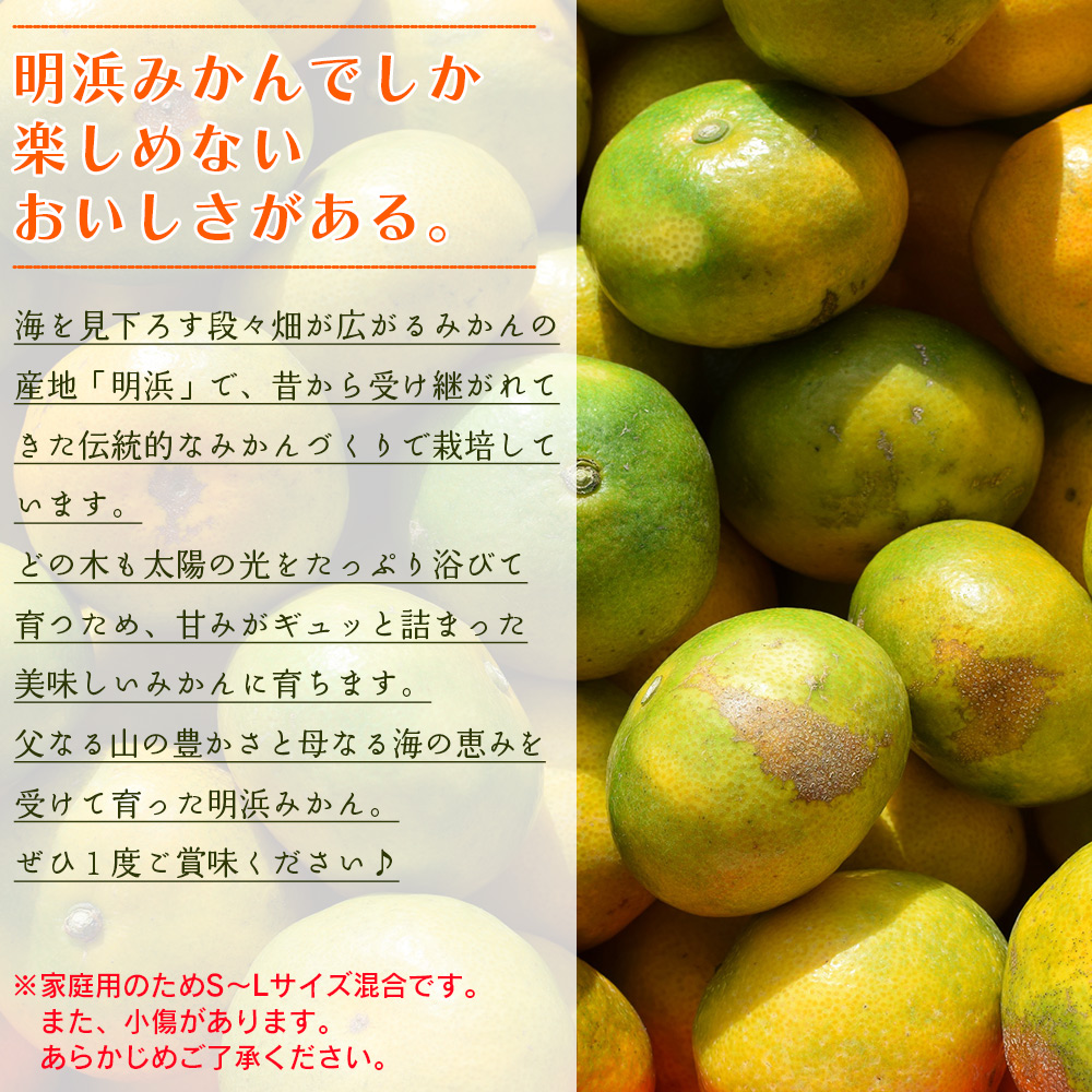 ＜天晴みかん 極早生 ご家庭用 約2kg＞ 柑橘 果物 フルーツ 期間限定 季節限定 特産品 温州みかん 家庭用 自宅用 ジャム サラダ 株式会社笑丸 愛媛県 西予市