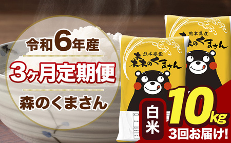令和7年産 新米【3ヶ月定期便】森のくまさん 白米 10kg 5kg×2袋 計3回お届け《お申し込み月の翌月から出荷開始》 お米 こめ 熊本県産 ご飯 備蓄