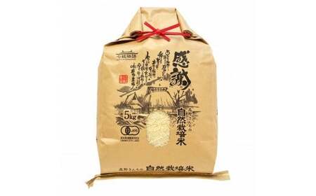 【通常パック】熊本県菊池産 ヒノヒカリ 玄米 5kg 七城物語 高野さんちの自然栽培米