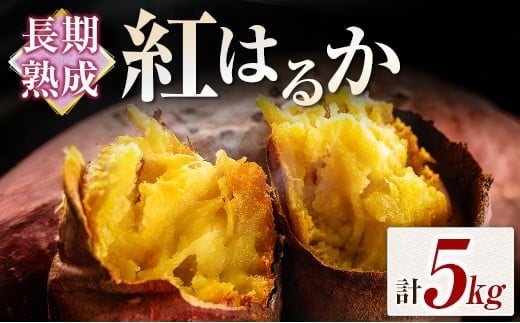 長期熟成 紅はるか 計5kg 宮崎県都城市産 さつまいも サツマイモ