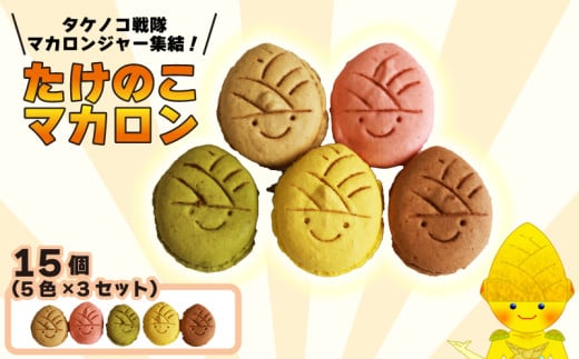 タケノコ戦隊マカロンジャー マカロン 5色 3箱 化粧箱入り デザート スイーツ 焼き菓子 たけのこ タケノコ たけのこマカロン ご当地 京都 長岡京 長岡京市