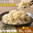 【ふるさと納税】【令和6年産 予約受付】玄米 岡山県産 ひのひかり 笠岡産 選べる 内容量 回数 10kg 20kg 30kg 60kg 90kg 120kg 奥山営農 太陽の恵み O-06_10k_玄米