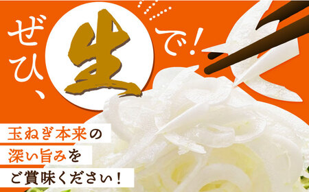江北町産 たまねぎ 約6kg [HAE008]佐賀 玉ねぎ たまねぎ