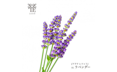 本物の花の香り リード・ディフューザー【ラベンダー】