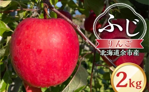 
                  【先行予約：2026年12月上旬より発送】りんご（ふじ）2kg【北海道余市町産】
                