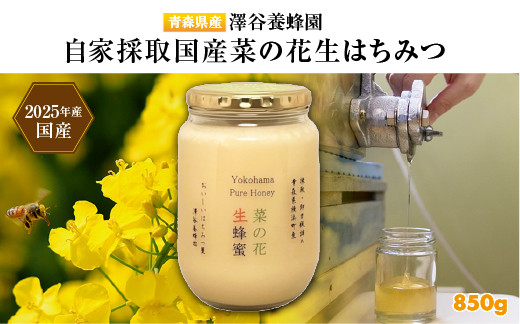 
            【青森県横浜町産】澤谷養蜂園　自家採取国産菜の花生はちみつ850g(2025年産)◆非加熱結晶生蜂蜜
          
