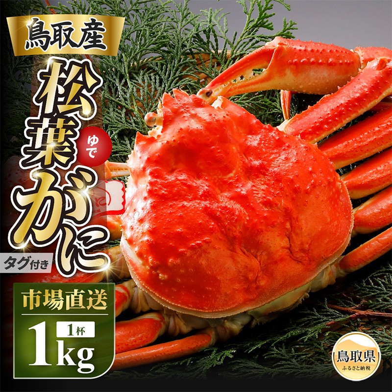 
                  【2026年11月発送】特撰　松葉がに（茹）【ブランドタグ付き】1kg超の大きいサイズ　食べ応えあり　特大1杯【期間限定】_T2600467
                