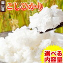 【ふるさと納税】令和6年産 こしひかり 米 10kg 20kg 選べる 1袋5kg 岡山県のこしひかり 岡山県産 白米 精米《30日以内に出荷予定(土日祝除く)》岡山県 矢掛町 送料無料 こしひかりコシヒカリ 米 コメ