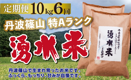 定期便 お米 特A 湧水米コシヒカリコシヒカリ【 10kg 6回 】定期便