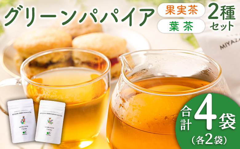 グリーンパパイアティー 2種 セット (果実茶＆葉茶) ティーバッグ 計4袋 宮崎県産