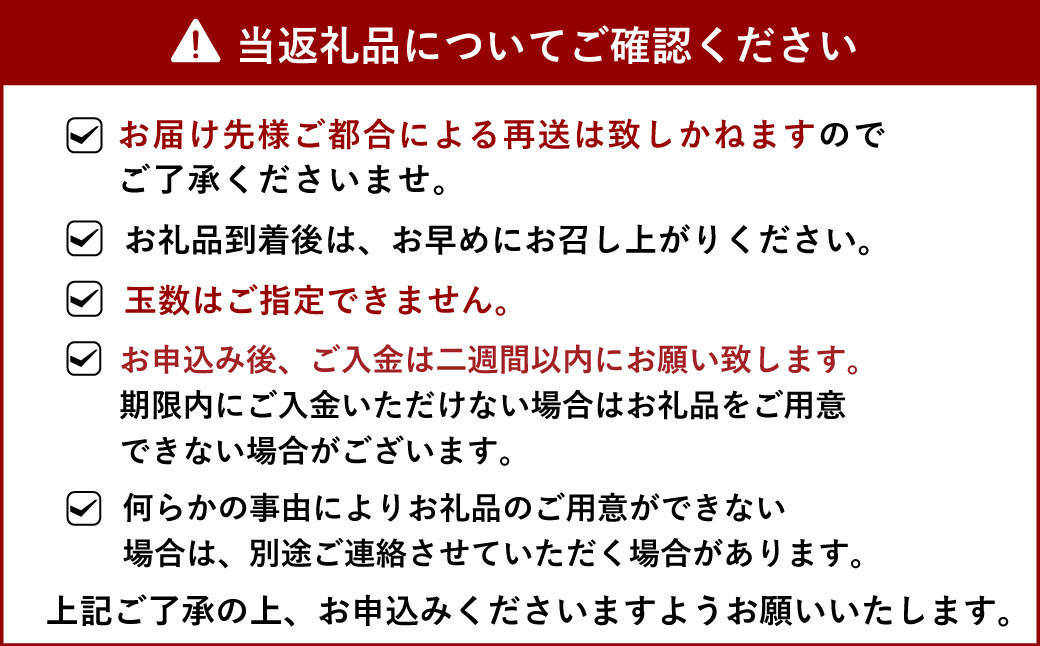 宇城市産 訳あり品 不知火 約3kg うちやま果樹園 (11玉前後)