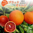 【ふるさと納税】【訳あり 家庭用】和歌山 湯浅町産 ブラッドオレンジ 3kg（S～2Lサイズ混合）＜2025年4月発送＞