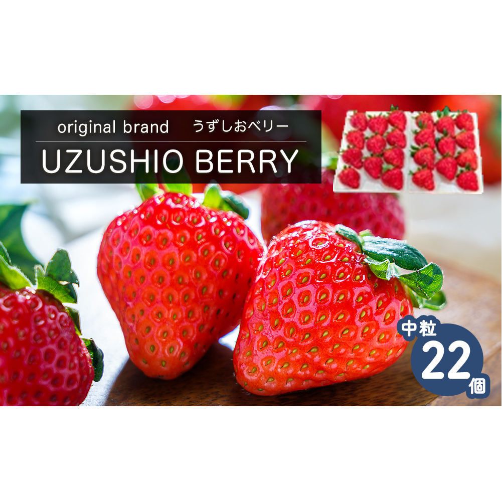 【朝摘みをお届け！】【2025年12月中旬頃より順次発送】 フルーツガーデンやまがたのいちご「うずしおベリー」中粒22個 【数量限定】 いちご フルーツ 果物 苺 イチゴ 旬の果物  鳴門のいちご