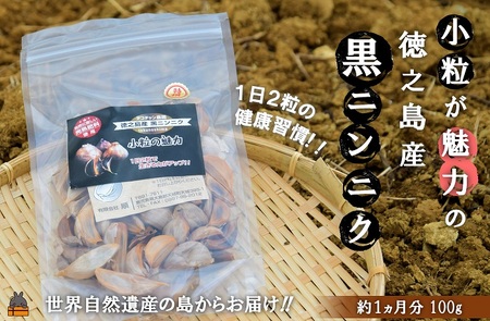 ～こだわりの小粒が魅力！～徳之島産黒ニンニク(100g) ( にんにく 健康食品 黒にんにく 自家栽培 徳之島 奄美 世界自然遺産 野菜 こだわり 完熟肥料 安心 安全 長寿 デコチャン農園 甘み フルーツのような美味しさ レターパック配送 ポストイン )