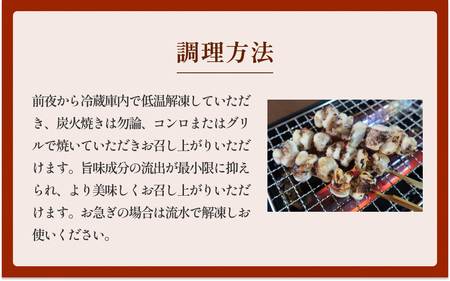 宮城県産真いか軟骨串（3０本入り） イカ バーベキュー BBQ