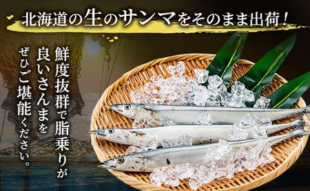 先行予約 刺身用 鮮さんま 2kg（16～20尾）産地直送 秋刀魚 サンマ