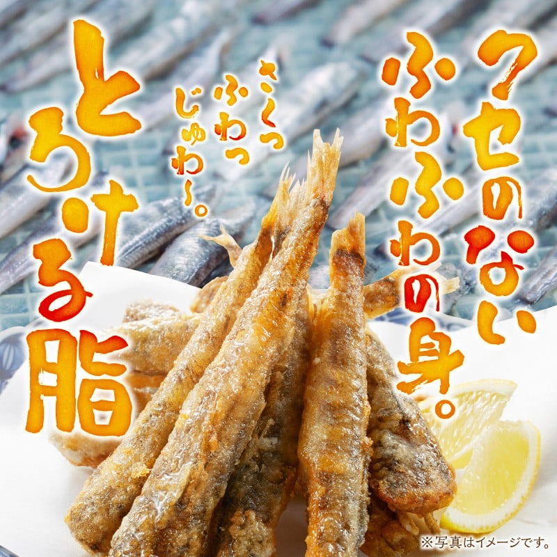 延岡産めひかり無頭大サイズ500g×2袋 N0184-YA178