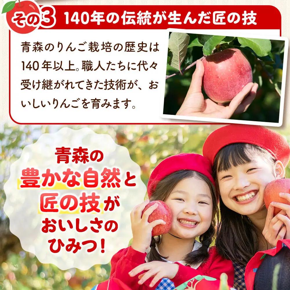 【26年10月発送】りんご とき【家庭用】約5kg 小玉 先行受付 青森県 弘前市 果物 フルーツ 林檎 リンゴ くだもの 不揃い 規格外