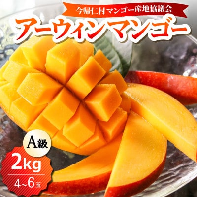 【2026年6月下旬から順次発送】今帰仁産のA級アップルマンゴー2kg(4～6玉)【配送不可地域：離島】