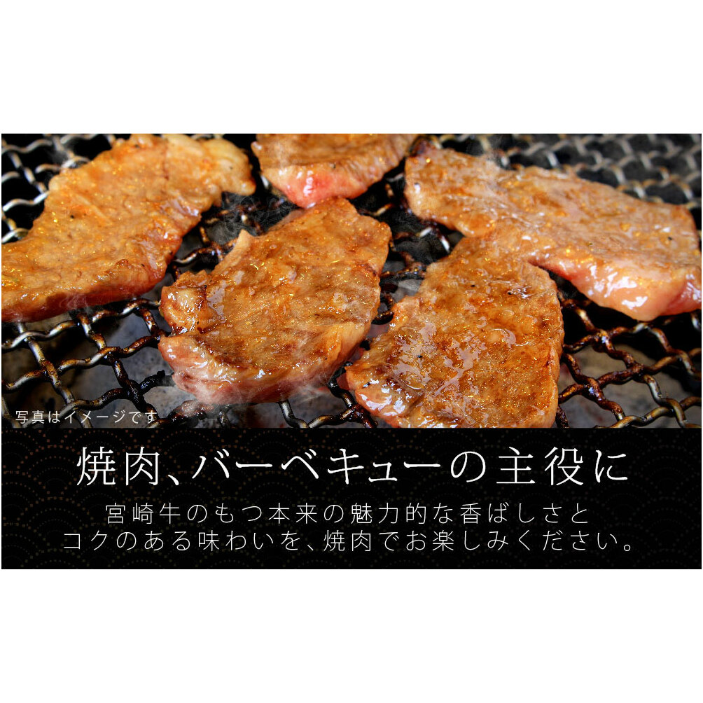 【宮崎牛】 ロース 焼肉 500g 黒毛和牛 A4 A5等級 [SHINGAKI 宮崎県 美郷町 31ag0048] 牛 鉄板焼き 国産 宮崎 宮崎県産 冷凍 送料無料 ブランド 牛 肉 霜降り BB