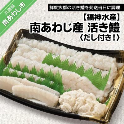 ふるさと納税 南あわじ市 [南あわじのハモ]南あわじ産 活き鱧　だし付きでお届け! ★配送7月11日〜9月22日