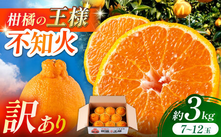 【2026年3月下旬から発送】【訳あり】 柑橘の王様 ハウス栽培 不知火 デコポン 約3kg（7～12玉） 【小春農園】[ZBN008]