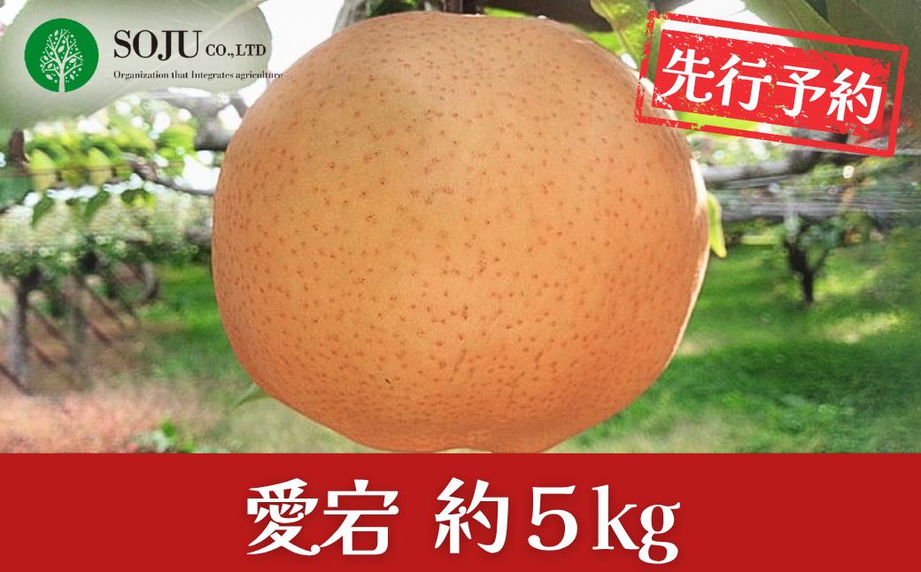 
                  先行予約 和梨 愛宕 約5kg 贈答用 令和8年度 新潟県三条市産 梨 愛宕梨  [三条果樹専門家集団] 【016P024】
                
