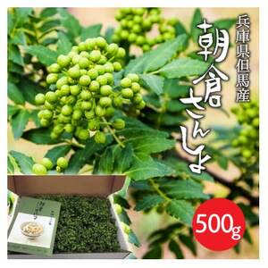 朝倉さんしょ　500g【配送不可地域：離島】【1616570】