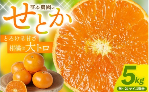 
                  【数量限定】せとか  柑橘の大トロ 笹本農園のせとか 約5kg M～2Lサイズ混合 【2027年3月上旬頃〜順次発送】 みかん ミカン 蜜柑 柑橘 せとか フルーツ 果物 くだもの 甘い 旬 人気 果汁 濃厚 ジューシー デザート 産地直送 農家直送 みかん 国産 お取り寄せ 新鮮 期間限定 季節限定 先行予約 おすすめ 三重県 熊野市 笹本農園【ssmt0002】
                