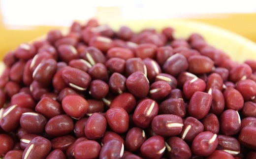 瑞穂大納言小豆 500g 【地域限定 京丹波町産 ブランド 小豆 あずき あんこ 赤飯 京都 】