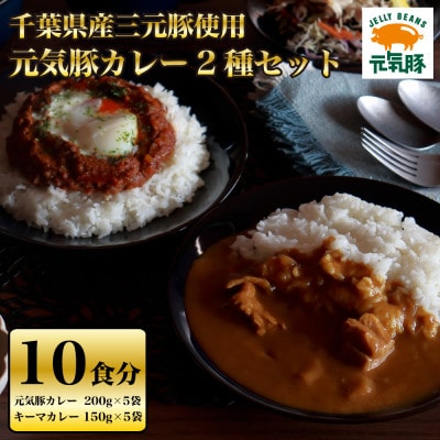 元気豚カレー2種セット(元気豚カレー 5P、キーマカレー 5P　計10食分)【保存食・備蓄・ギフト】【配送不可地域：離島・沖縄】【1380518】