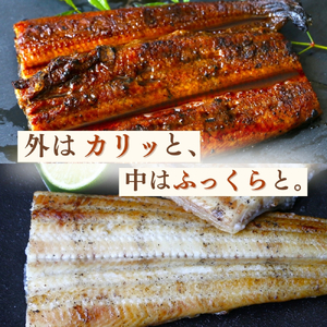 【12カ月定期便】特大うなぎ蒲焼き、うなぎ白焼き各1本セット×12回 / 和歌山 田辺 うなぎ 鰻 かば焼き うな丼 うな重 国産 鰻丼【kpy032-tk】