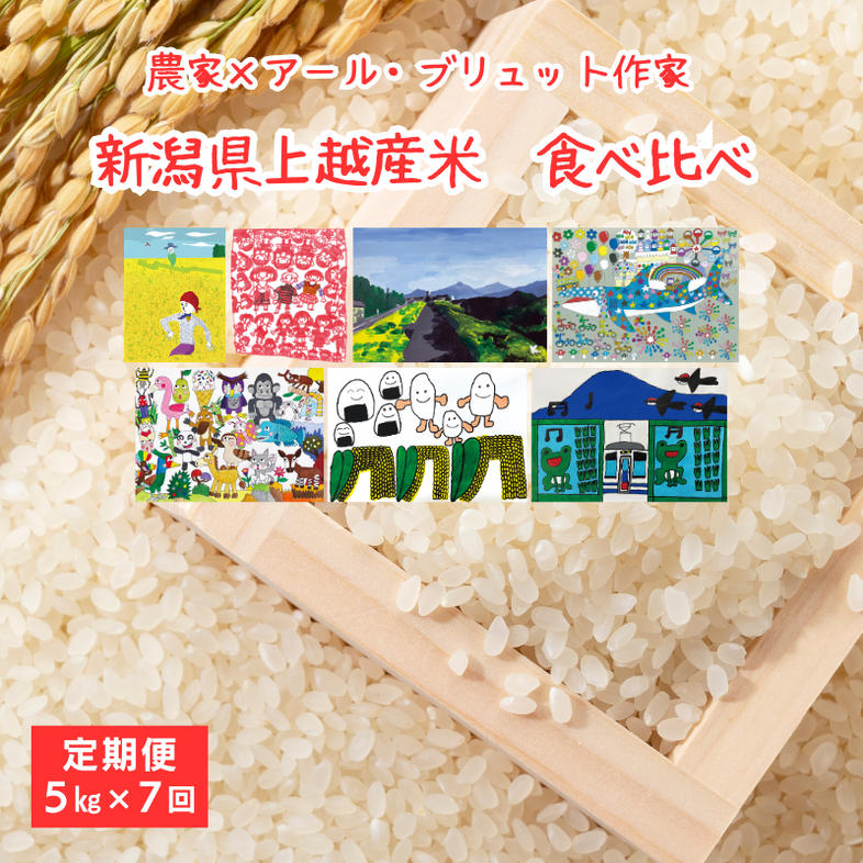 令和7年産 新潟県産 米 5kg 5キロ 食べ比べ 7回 定期便 コシヒ