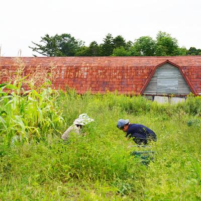 ふるさと納税 安平町 とあさ村ハーブレターセット |  | 02