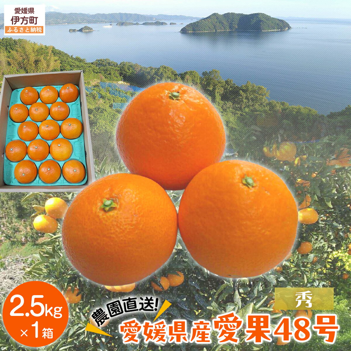 【ふるさと納税】【先行予約】【数量限定】【秀】＼農園直送／愛果48号 約2.5kg ※離島への配送不可（2026年2月下旬より順次発送） 【ふるさと納税 人気 おすすめ ランキング 柑橘 みかん ミカン 蜜柑 愛果48号 果物 フルーツ 産地直送 農園直送 岡市農園 愛媛県 】 IKTV011