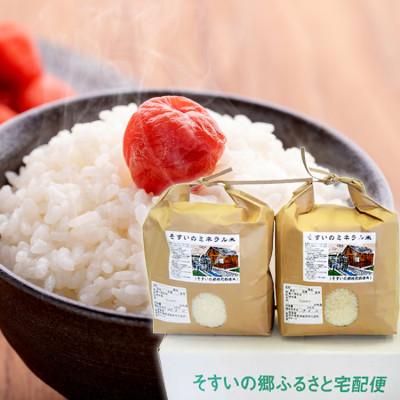 ふるさと納税 那須塩原市 【令和7年産】コシヒカリ米10kg(そすいのミネラル米) |  | 01